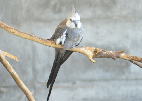 World of Birds Wildlife Sanctuary.